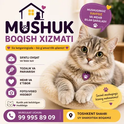 Mushuk boqish xizmati 1