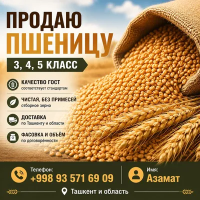 3-, 4- va 5-sinf qozoq bug‘doyini sotaman. Sifatli bug‘doy mavjud 1