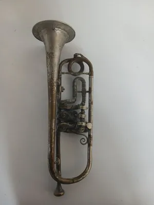 Musiqa asbobi, kornet-truba 1