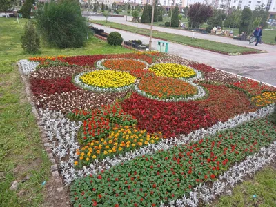 Мавсумий ва манзарали гуллар 1