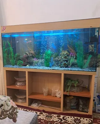 Akvarium 500 litr komplekt 1
