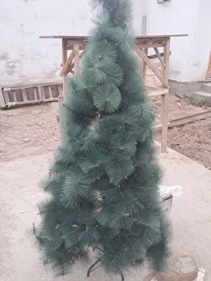 ЕЛКА сатылады 180 см 1