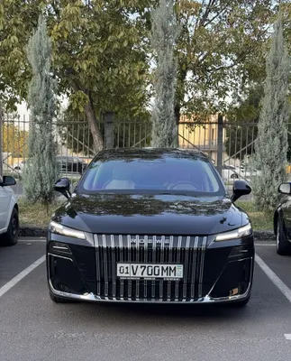 O‘zining Roewe avtomobili bilan haydovchi 1