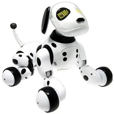 Robot it uy hayvoni 1