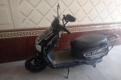 Skutir sotiladi aybi yoʻq 1