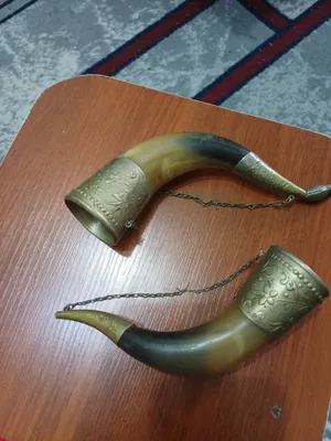 винтажные рога 1