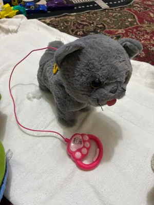 Котёнок