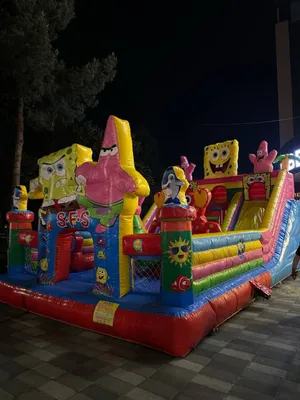 Батут за 2400 долларов 1