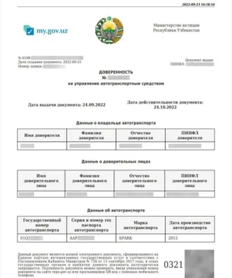 Страховка и доверенность 24/7
