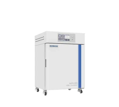 160 litr hajmli, CO₂ bilan ishlaydigan Biobase BJPX-C160 inkubatori