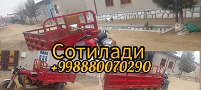 Муравей сотилади 1