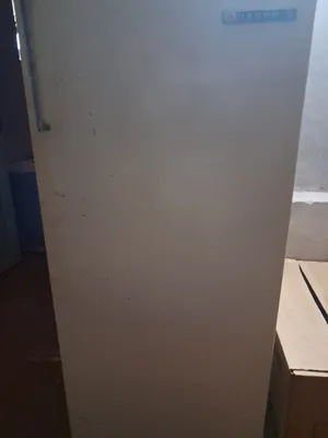 музлатгич холаделник 1