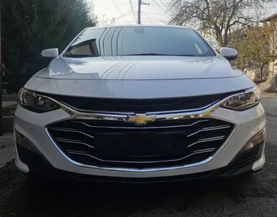 Malibu premier oq ( jemchuk emas) 1