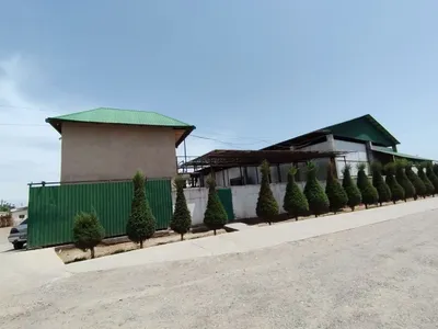 Ijaraga xaladelnik beramiz Surxon markazida 1