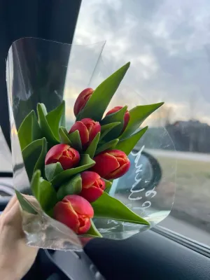 Toshkentda lola gullari ulgurji 1
