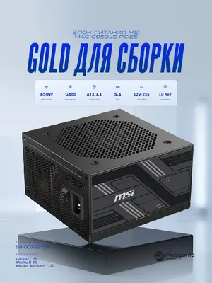 MSI PAG G850LS 850W Gold