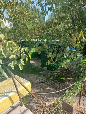 продается дача 18 соток 1