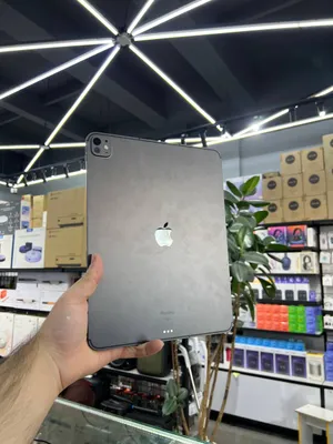 iPad Pro 13 M4 1