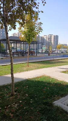 Qizlaga kvartita