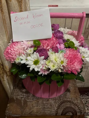 1-oktyarbga sovg’a