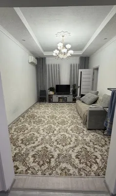 Ковер, палас. Для зала размер 530*330