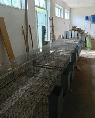 Quyon qafas ferma uchun ,клетка для кроликов 1