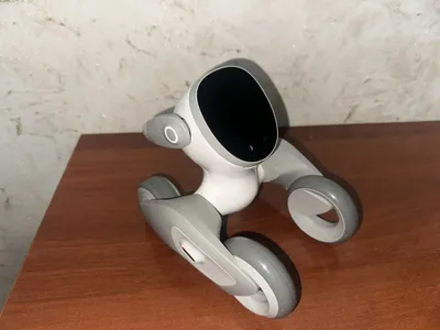 Loona robot uy hayvoni 1
