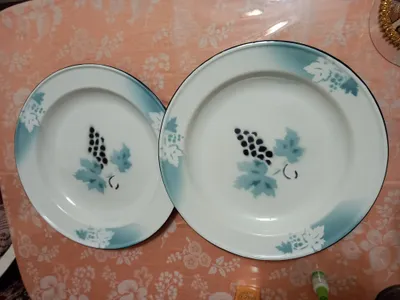 Ляганы эмалированные СССР 1