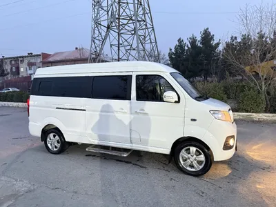Shineray X30L CNG 1