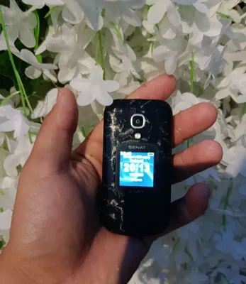 Новый сенат 1