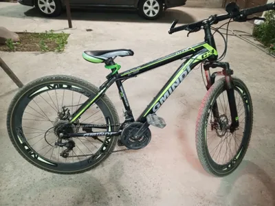 Velosiped 1