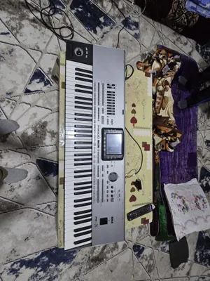 Korg pa3xpro muzikant 1