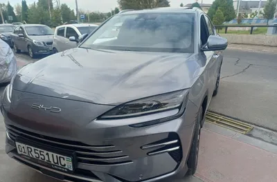 BYD Champion, 160 км, 2025 год, пробег 10 000 км, без недостатков, кузов в отличном состоянии 1