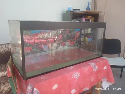 150 litrli akvarium. 1