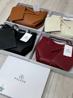 POLENEKICHIGI 1