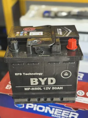 Оригинальный аккумулятор BYD 2026 1