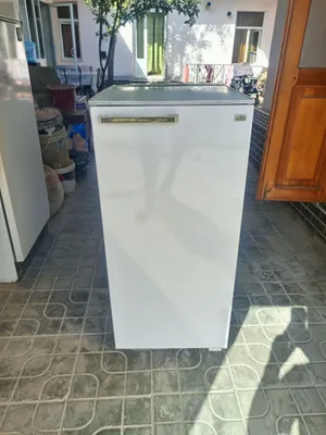 Tezda tejamkor «Saratov» muzlatgichi sotiladi 1
