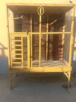 Valer sotiladi 250 1