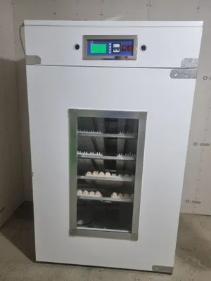 Inkubator hizmati 1