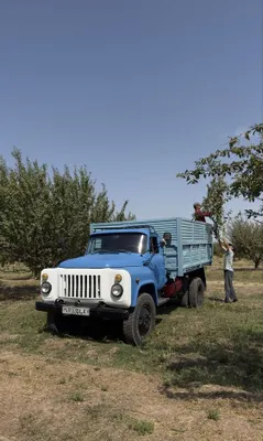 ГАЗ-53 самосвал, 1990 год 1