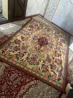 Palak holati zor yaxsh