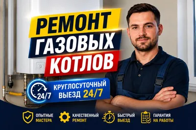 Ремонт котлов двухконтурные /профилактика котла/всех моделей