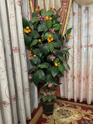 исскуственное деревье 1
