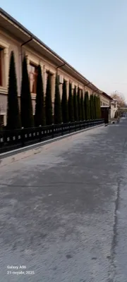 Archa xar xil mevali daraxlani kesish ularga chiroyli shakll berish 1