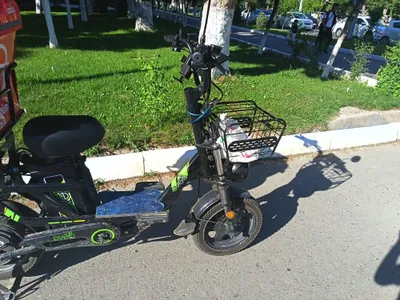 Sikutr monistr bor tokli 1
