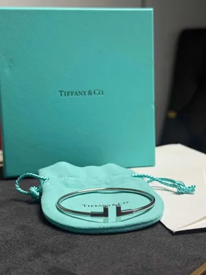 NEW Tiffany & CO T Wire bilaguzugi 1