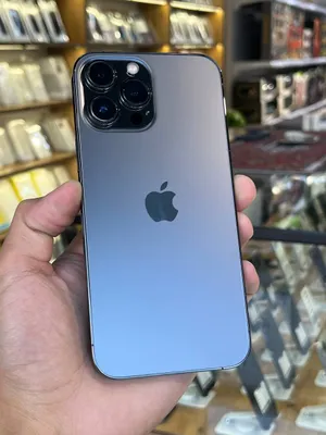 iPhone 13 Pro Max