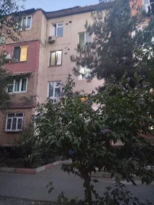 Chilonzor metroga bez makler yonimga bir qiz olam 1