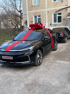 Бантик на машину, Bant mashinaga, Bantiklar lenta 1