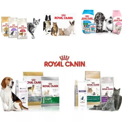 Uy hayvoningiz uchun Royal Canin 1